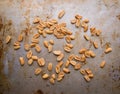 Peanuts on a steel plate Royalty Free Stock Photo