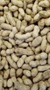 Peanuts are unpeeled. background and texture. agriculture. Royalty Free Stock Photo