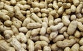 Peanuts are unpeeled. background and texture. agriculture. Royalty Free Stock Photo