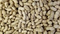 Peanuts are unpeeled. background and texture. agriculture. Royalty Free Stock Photo