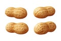 Peanuts in various orientations, showcasing texture and shape. Four whole peanuts displayed, highlighting natural color Royalty Free Stock Photo