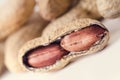 Peanuts on a white background. . Building from nuts. Balance. Open shell. Nutrition. Peanuts butter Royalty Free Stock Photo