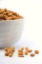 Peanuts in white cheramic dish Royalty Free Stock Photo