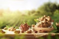 Peanuts on wooden table with crop fields in the background Royalty Free Stock Photo