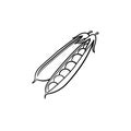 Peapod hand drawn sketch icon. Royalty Free Stock Photo