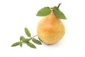 Pear