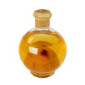 Pear brandy with pear in the bottle. Serbian rakia named Viljamovka