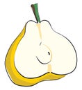 Half pear vector or color illustration Royalty Free Stock Photo