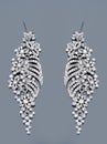 Pear Diamonds Earrings Royalty Free Stock Photo