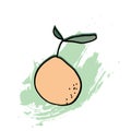 light pear with dots and leaves on color spot background brush stroke vector pattern