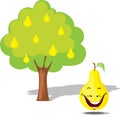 Pear falling from tree - flat design illustration Royalty Free Stock Photo