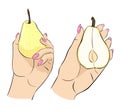 Pear whole and half. Female hands are holding fruits.