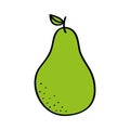 Pear fresh fruit drawing icon