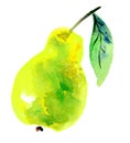 Pear fruit