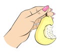Pear fruit. Bitten fruit. Female hands hold a ripe pear.