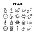 pear fruit green white leaf food icons set vector Royalty Free Stock Photo