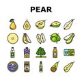 pear fruit green white leaf food icons set vector Royalty Free Stock Photo