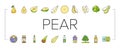 pear fruit green white leaf food icons set vector Royalty Free Stock Photo