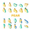 pear fruit half food slice icons set vector Royalty Free Stock Photo