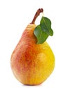 Pear fruit with leaf