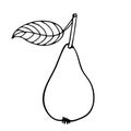 Pear fruit with leaf hand drawn sketch isolated. Doodle Outline vector illustration. Vegetarian food sketch. Black and white Pear Royalty Free Stock Photo