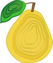 Pear fruit vector illustration decorated with layers