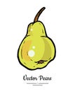 Pear fruit vector isolate. Yellow green whole pear. Fruit hand drawn illustration food vegetarian sweet icon logo sketch