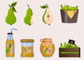 Pear harvest large collection. Green pear on branch, in basket, juice, jam, marmalade, pastila. Slice of pear. Fruits