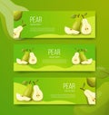 Pear healthy fruits for template banner banners horizontal variations option realistic with flat color style vector
