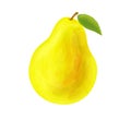 Pear icon in watercolour style. Fresh yellow summer fruit with green leaf. Hand drawn artwork. Vector illustration. Royalty Free Stock Photo