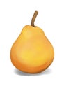 Pear illustration