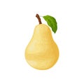 Pear. The image of a pear is yellow. Ripe sweet pear. Fresh garden fruit. Vitamin vegetarian product. Vector Royalty Free Stock Photo