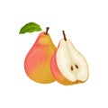 Pear. Image of a red pear. Ripe sweet pear. Fresh garden fruit. Vitamin vegetarian product. Vector illustration isolated Royalty Free Stock Photo