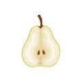 Pear. An image of a pear slice. Fresh garden fruit. A ripe pear. Vector illustration isolated on a white background Royalty Free Stock Photo