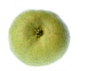 Pear Isolated Royalty Free Stock Photo