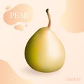 Pear isolated vector. Pear isolated vector illustration in 3D photo-realistic style. Yellow pear isolated vector for