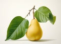 Pear isolated on white background Royalty Free Stock Photo