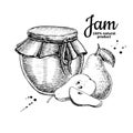 Pear jam glass jar vector drawing. Fruit Jelly and marmalade.