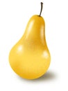 Pear