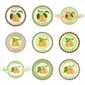 Pear labels. Fruits labels collection. Colorfull variant.Fresh vegetables vector concept. A healthy diet is a flat style of illust Royalty Free Stock Photo