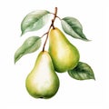 Pear with Leaf and Bloom Isolated on White Background. Watercolour illustration. Generative AI. Royalty Free Stock Photo