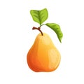 pear leaf cartoon vector illustration Royalty Free Stock Photo