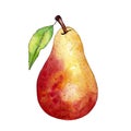 Pear with a leaf, isolated fruit in red and yellow, watercolor illustration on white background Royalty Free Stock Photo