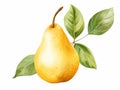 Pear with Leaf Isolated on White Background. Watercolour illustration. Generative AI. Royalty Free Stock Photo