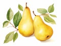 Pear with Leaf Isolated on White Background. Watercolour illustration. Generative AI. Royalty Free Stock Photo