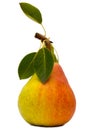 Pear with leaves Royalty Free Stock Photo