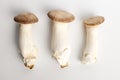 Pear mushroom similar to matsutake mushroom