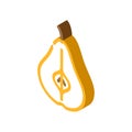 pear one cut isometric icon vector illustration Royalty Free Stock Photo