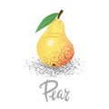 Pear, organic fruit, vegetarianism, vitamins in the garden vector illustration, vector particles
