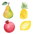 Pear, pinapple, pomegranate and lemon Royalty Free Stock Photo